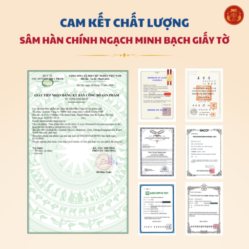 Cao Hồng Sâm lên men DKG
