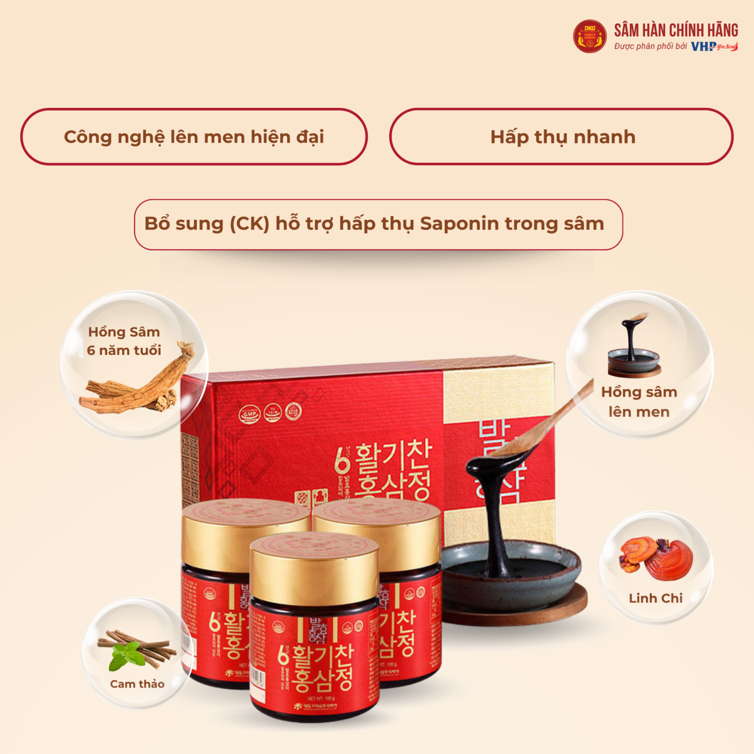 Cao hồng sâm lên men 6 năm tuổi (6 years fermented red ginseng extracts) 100g/lọ
