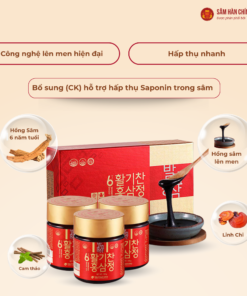 Cao hồng sâm lên men 6 năm tuổi (6 years fermented red ginseng extracts) 100g/lọ