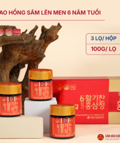 Cao hồng sâm lên men 6 năm tuổi (6 years fermented red ginseng extracts) 100g/lọ