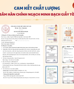 Yến sào hồng sâm DKG