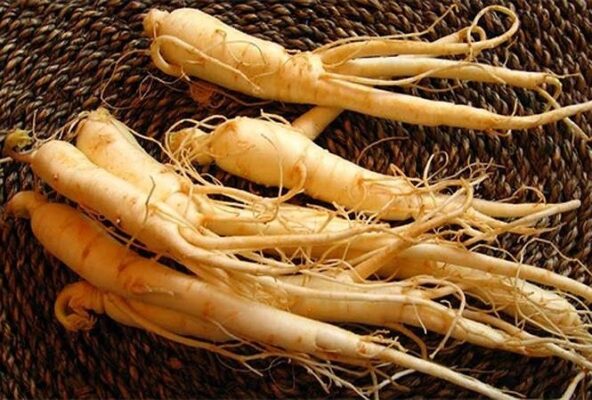Sâm nguyên củ Hàn Quốc: Kho báu thiên nhiên, sức khỏe vẹn toàn.