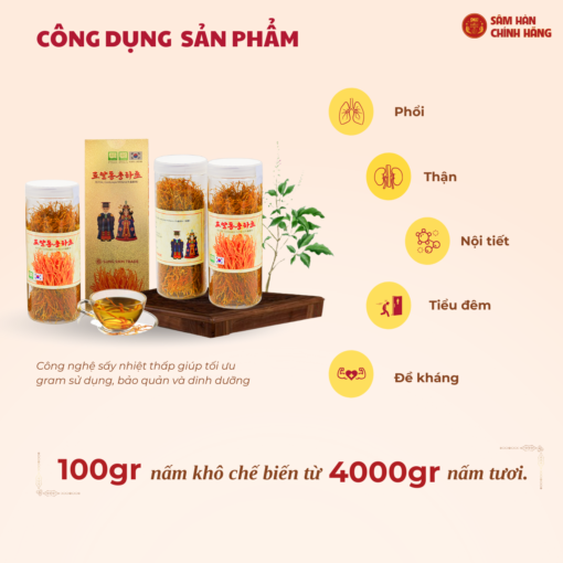 Đông trùng hạ thảo Militaris Hoàng Gia