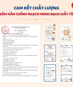 Đông trùng hạ thảo Militaris Hoàng Gia