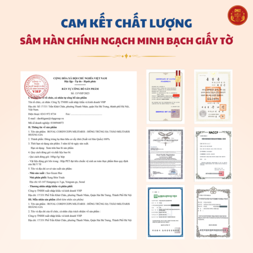 Đông trùng hạ thảo Militaris Hoàng Gia