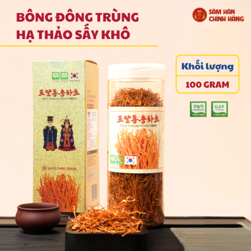 Đông trùng hạ thảo Militaris Hoàng Gia
