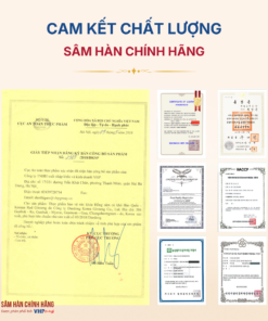 Hồng sâm củ khô 6 năm tuổi (Korean Red Ginseng 6Y 3-5 Root) 75g/hộp