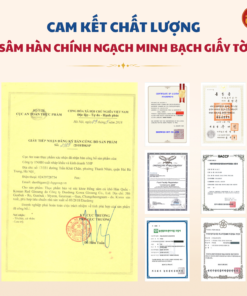 Hồng sâm củ khô HQ Premium 37,5g (2-3 củ) - Daedong