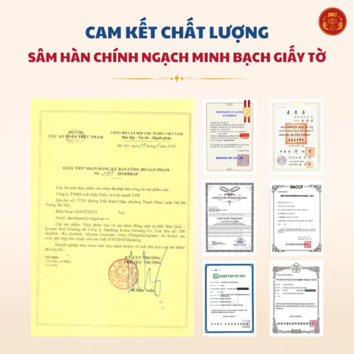 Hồng sâm củ khô HQ Premium 37,5g (2-3 củ) - Daedong