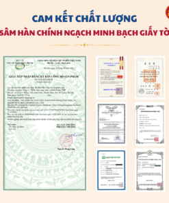 Nước hồng sâm stick Daily - DKG