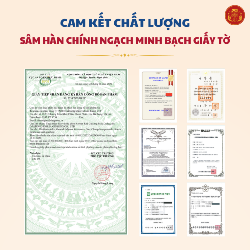 Nước hồng sâm stick Daily - DKG