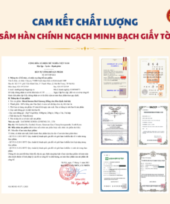 Hồng sâm khô thái lát 3 lọ/hộp