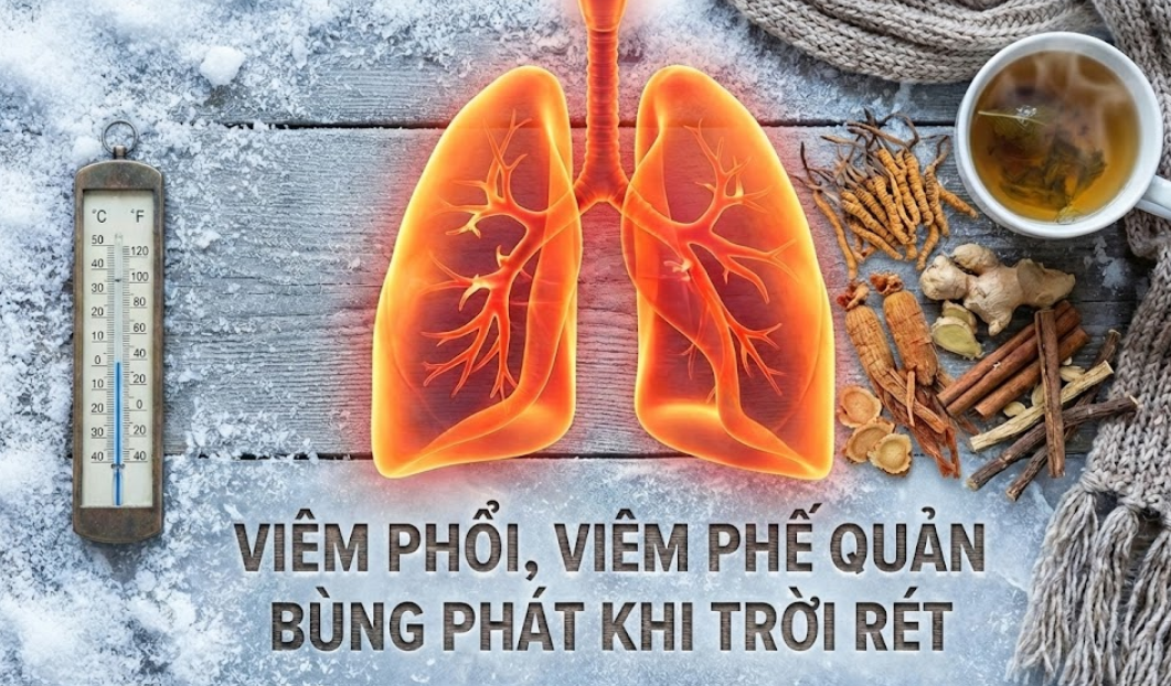Vì sao lá phổi là bộ phận "nhạy cảm" nhất khi đông về? Vì sao lá phổi là bộ phận "nhạy cảm" nhất khi đông về?