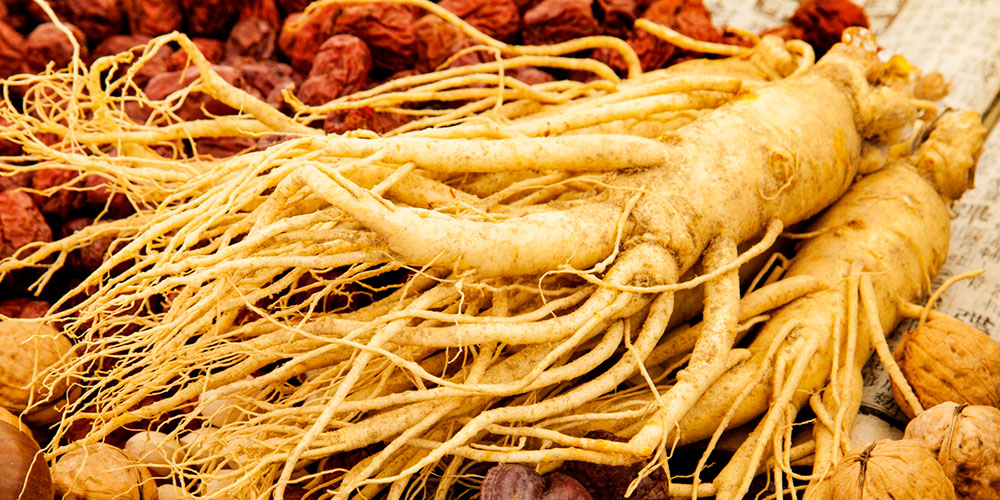 Tại sao phải là nhân sâm tươi đủ 6 năm tuổi?