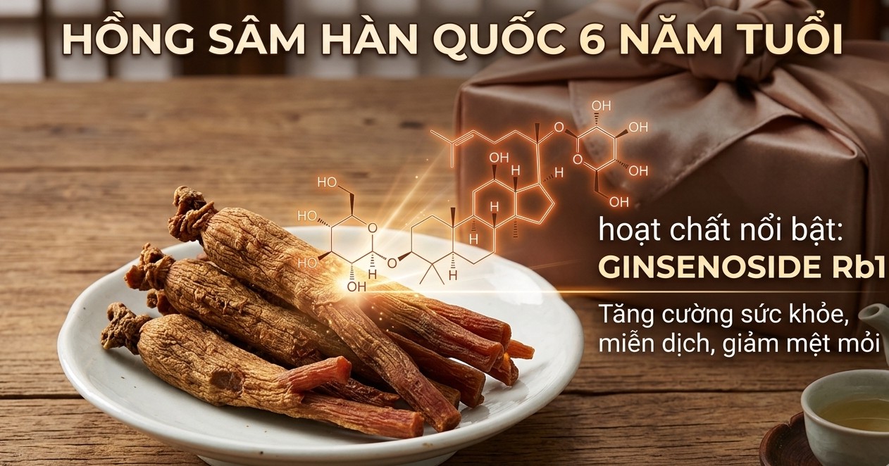 Đập tan mệt mỏi, khơi nguồn năng lượng cùng hoạt chất Ginsenoside Rb1! Đập tan mệt mỏi, khơi nguồn năng lượng cùng hoạt chất Ginsenoside Rb1!