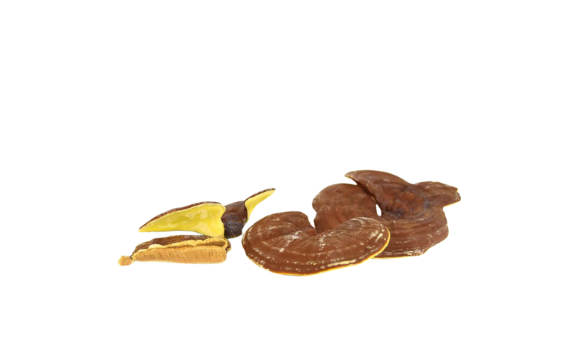 Hồng sâm Hàn Quốc