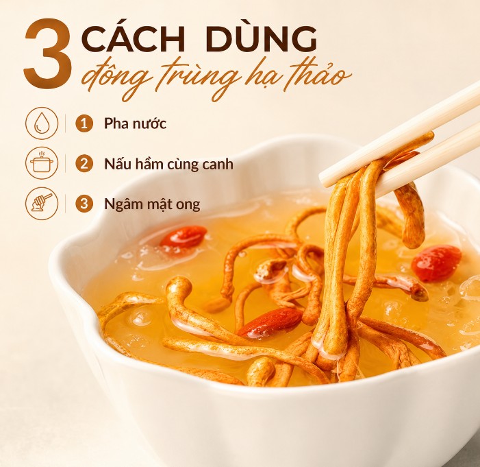 Cách dùng nấm đông trùng hạ thảo đơn giản mà hiệu quả