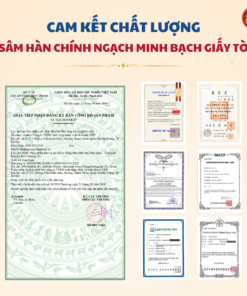 Hồng sâm nguyên củ mật ong Hàn Quốc