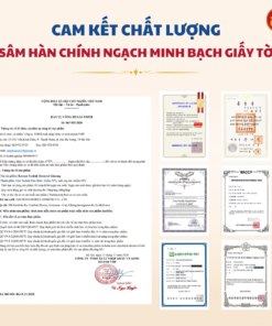 Thái cực sâm mật ong 300g (Thiên sâm) - Daedong