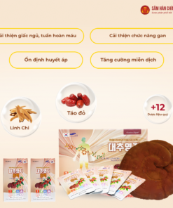 Nước Linh Chi Táo Đỏ cao cấp (Jujube linhzhi premium liquid) 80ml*30gói/hộp