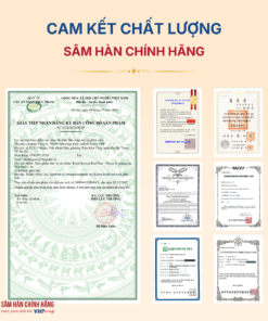 Thông đỏ hoàng gia Hàn Quốc (Royal Korean Red Pine) 450mg*120viên/hộp