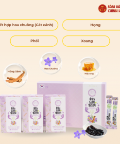 Thạch hồng sâm Hoa chuông Daedong (20g x 30 stick)