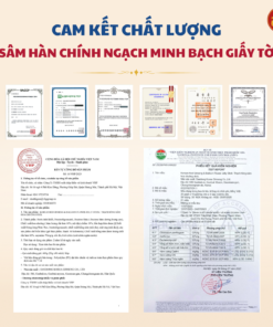 Thạch hồng sâm Hoa chuông Daedong (20g x 30 stick)
