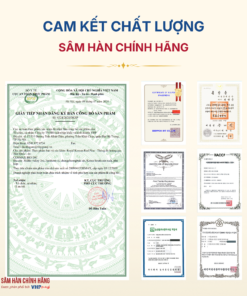 Thông đỏ hoàng gia Hàn Quốc (Royal Korean Red Pine) 450mg*60viên/hộp