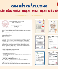 Hồng sâm yến sào G-BIRD dạng thạch Daedong