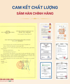 Cao hồng sâm Hàn Quốc (Korean red ginseng extract) 6Y 240g/hộp