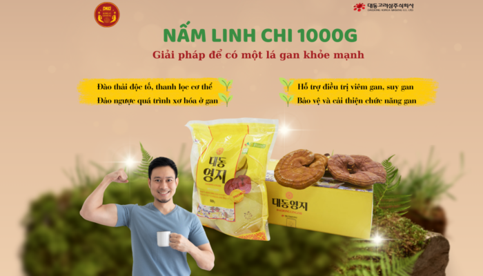 Nấm linh chi: Quà tặng từ thiên nhiên cho sức khỏe bền vững