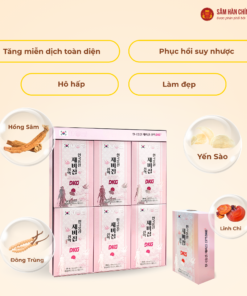 Nước Yến Sào Hồng Sâm DKG (Korean red ginseng Bird's nest Extract DKG) 70ml*30gói/hộp