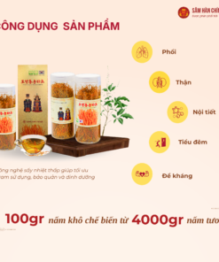Đông trùng hạ thảo Hoàng gia (Royal Cordyceps Militaris) 100g/hộp
