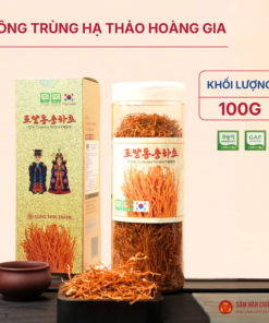 Đông trùng hạ thảo Hoàng gia (Royal Cordyceps Militaris) 100g/hộp