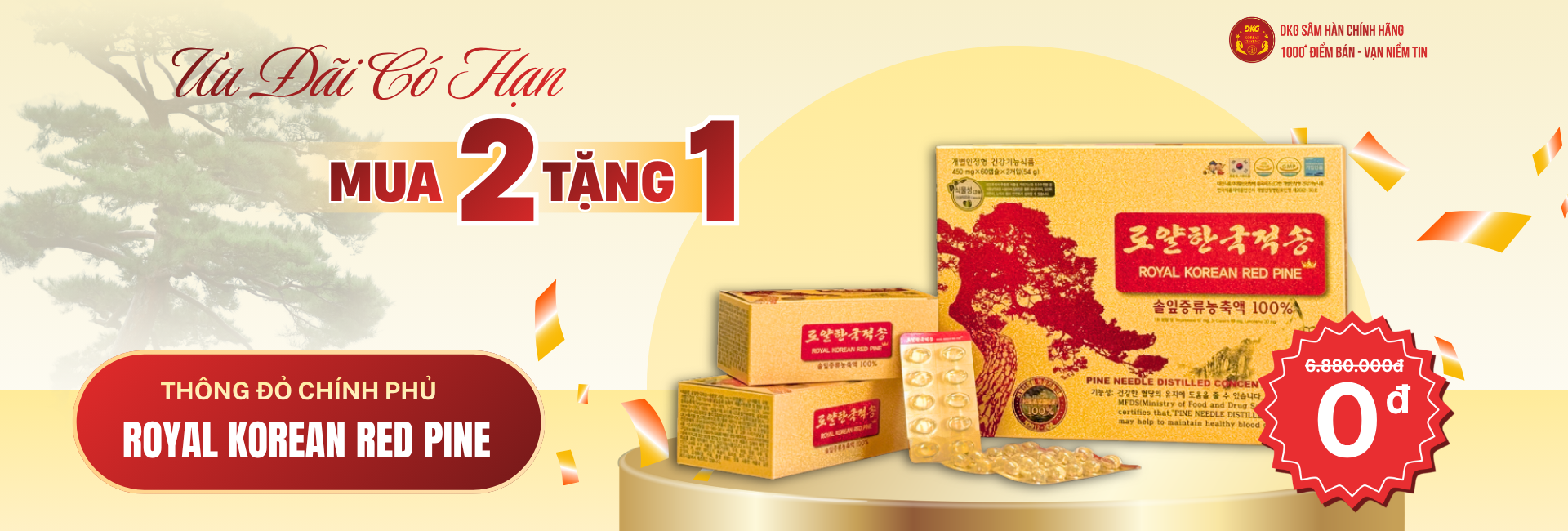 CTKM mua 2 tặng 1 thông đỏ