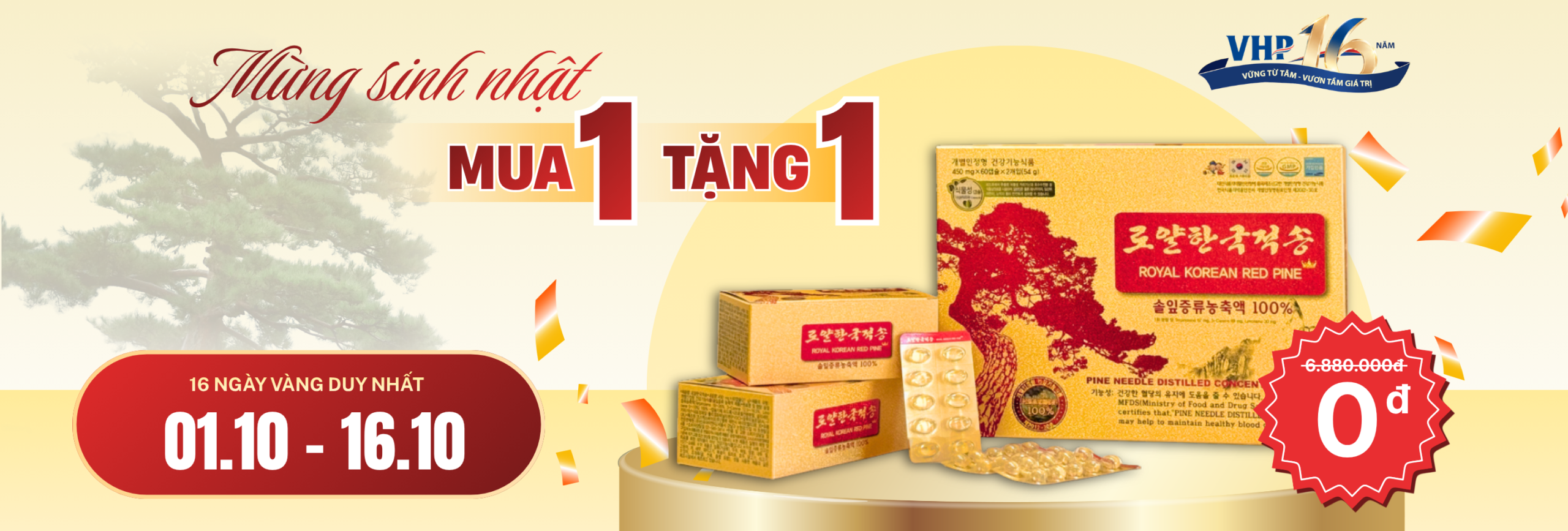 Mừng sinh nhật 16 năm của VHP